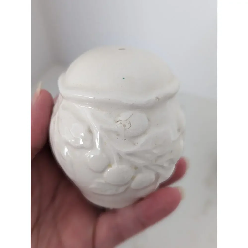 Savoir Vivre Fruit Promenade White Salt And Pepper Set